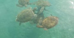 IMG-20170613-WA0037