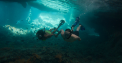 Snorkel